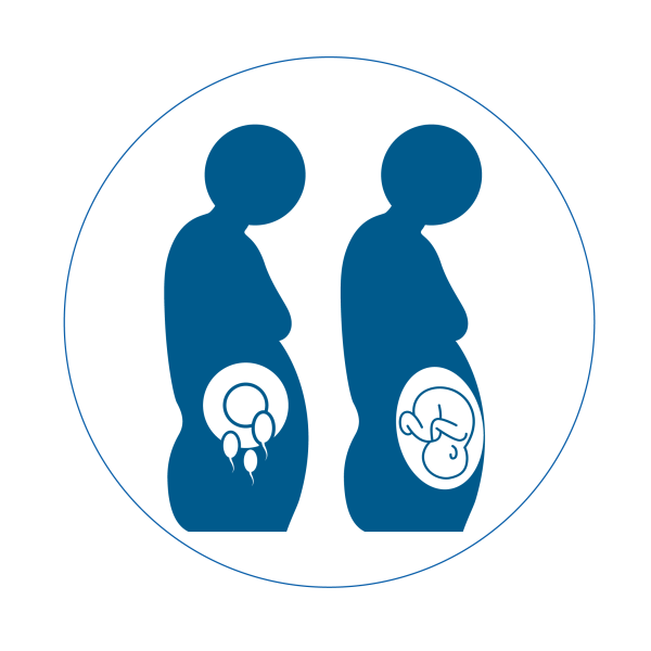 fertility
